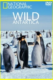 Wild Antarctica Wild Antarctica
