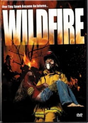 Wild Fire Wild Fire