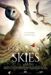 Wild Flight: Conquest of the Skies 3D Wild Flight: Conquest of the Skies 3D
