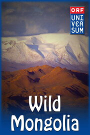 Wild Mongolia Wild Mongolia
