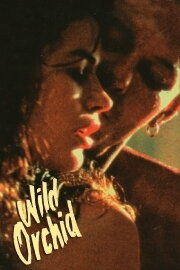 Wild Orchid Wild Orchid