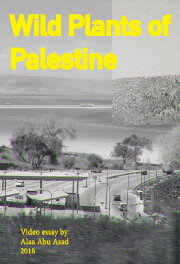Wild Plants of Palestine Wild Plants of Palestine