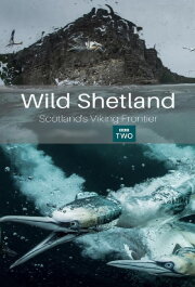 Wild Shetland: Scotland's Viking Frontier Wild Shetland: Scotland's Viking Frontier