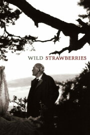 Wild Strawberries