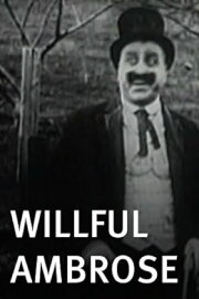 Willful Ambrose Willful Ambrose