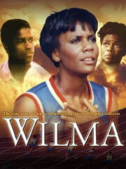 Wilma Wilma