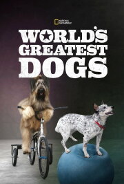 World's Greatest Dogs World's Greatest Dogs