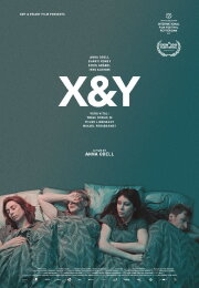 X&Y X&Y