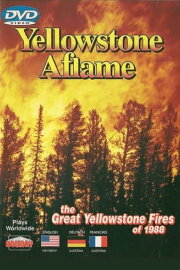 Yellowstone Aflame