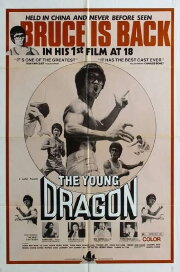 Young Dragon Young Dragon
