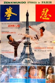 Zen Kwan Do Strikes Paris