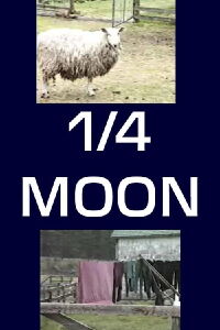 1/4 Moon (1986)