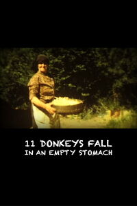 11 Donkeys Fall in an Empty Stomach (2006)