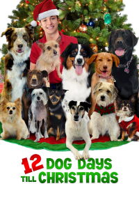 12 días para Navidad (2014)
