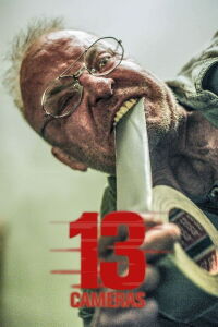 13 Cameras (2016)