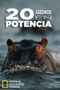 20 asesinos en potencia (2013)