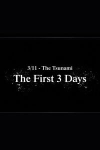 3/11 - The Tsunami: The First 3 Days (2021)