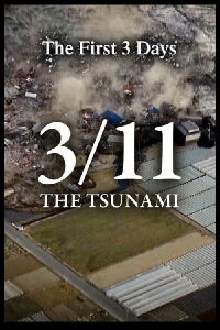 3/11 - The Tsunami: The First 3 Days (2021)