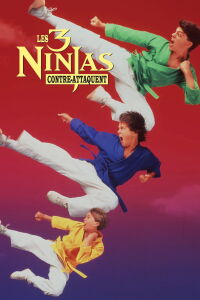 3 ninjas contre-attaquent (1994)