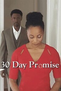 30 Day Promise (2017)