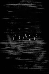 34x25x36 (2008)