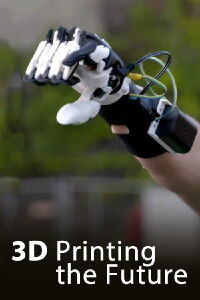 3D - Printing the future (2017)