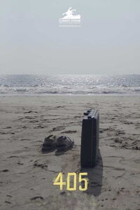 405 (2019)