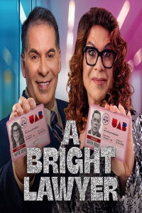 A Bright Lawyer (2025)