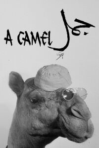 A Camel (1981)