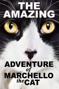 A Cat's Tale (2008)