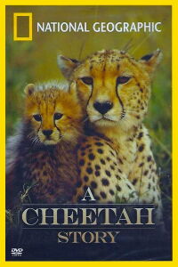 A Cheetah Story (1999)