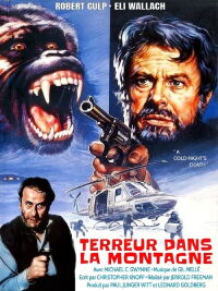 A Cold Night's Death (1973)