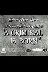 A Criminal Is Born (1938)