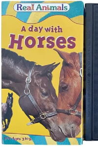 A Day with Horses (1995)