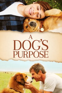 A Dog's Purpose (2017)