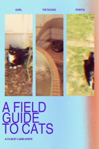 A Field Guide to Cats (2015)