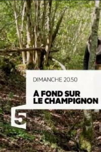 A fond sur le champignon (2017)