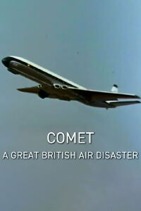 A Great British Air Disaster (2013)