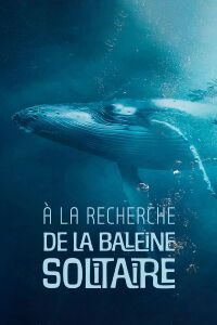 À la recherche de la baleine solitaire (2021)