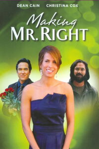 À la recherche de Mr. Parfait (2008)