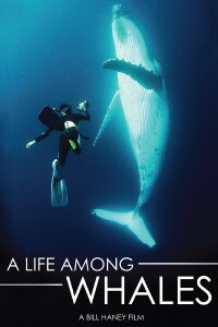 A Life Among Whales (2005)