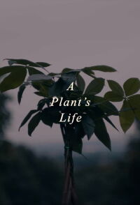 A Plant's Life (2021)