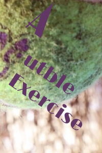 A Subtle Exercise (2024)