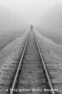 A Trip Across Misty Meadows (1973)