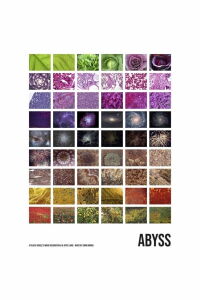 Abyss (2022)