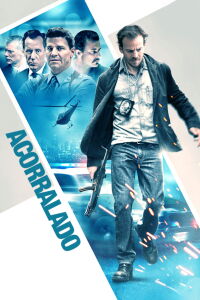 Acorralado (2013)