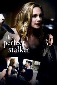 Acoso perfecto (2016)