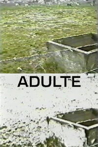 Adulte (1998)