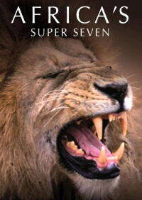 Africa's Super Seven (2005)