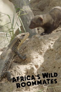 Africa's Wild Roommates: How Animals Share Bed and Board (2020)